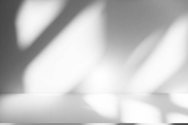 istock Wall interior background, studio and backdrops show products.with shadow from window color white . background for text insertion and presentation product 2185329176