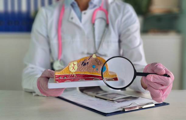 istock A mammologist oncologist studies an anatomical model of a woman's breast using a magnifying glass in a clinic 2185330035
