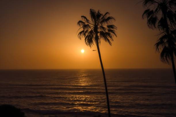 SUNSET WITH BEAUTIFUL SUNRAYS AND PALM TREES WITH A HELICOPTER PASSING BY OVER THE PACIFIC OCEAN IN LA JOLLA CALIFORNIA