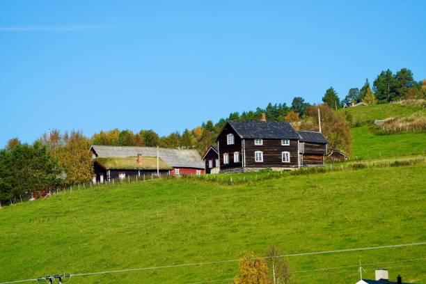 Idyllic rural landscape with traditional wooden houses on a grassy hillside under a clear blue sky.