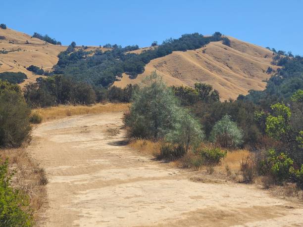 istock Wall Point trail at Mt Diablo State Park, California 2185335633