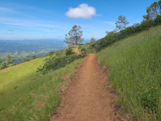 istock Juniper trail at Mt Diablo State Park in the spring, California 2185335979