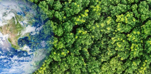 istock Green forest tree merged earth globe. Global ecosystem conservation and environmental protection during climate crisis. Worldwide biodiversity. Sustainable environment. Earth image provided by Nasa. 2185337608