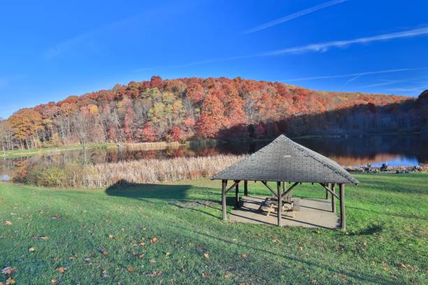 istock Autumn landscape with lake and pavilion. 2185337796