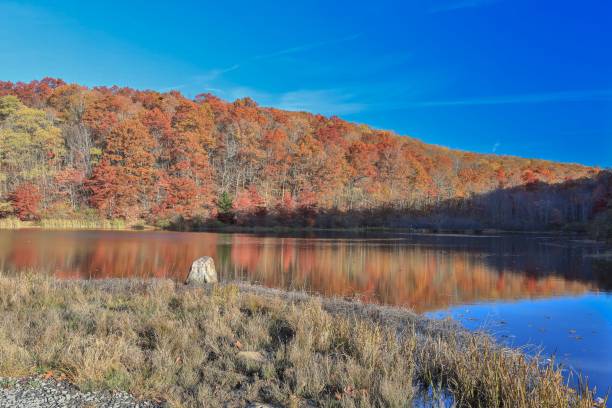 istock Autumn landscape with vibrant foliage and clear sky. 2185337798