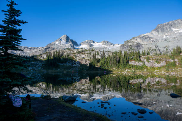 istock Mountains, glaciers and forest reflected in lake 2185338686