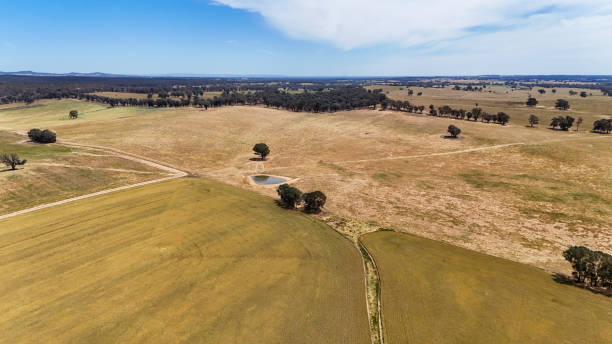 istock Farmland in North East Victoria 2185341603