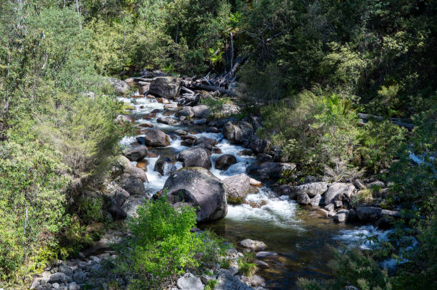 istock Fainter Creek on the Bogong High Plains Road 2185348234