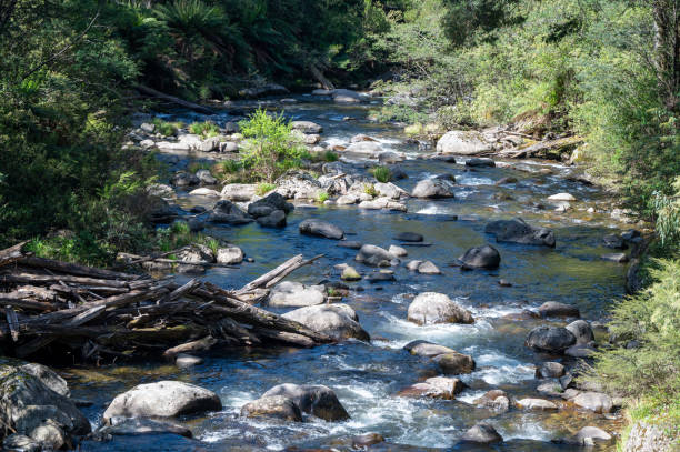 istock Fainter Creek on the Bogong High Plains Road 2185348253