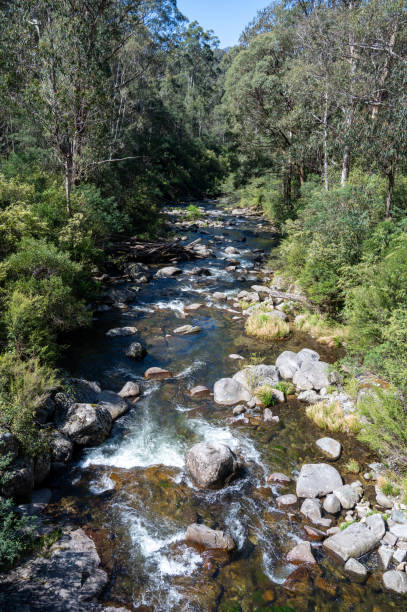 istock Fainter Creek on the Bogong High Plains Road 2185348302