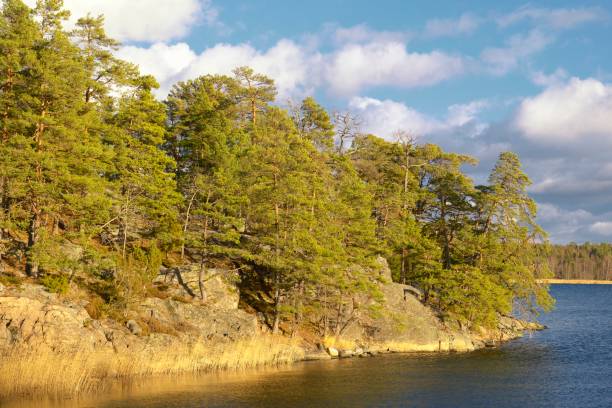 istock Seascape, Stockholm archipelago with blue sky 2185348350