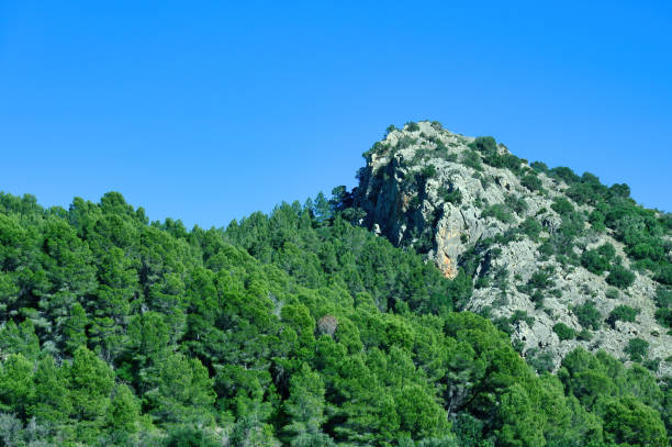 Detail of rocks forming mountains between Alicante City and Benidorm, Spain
