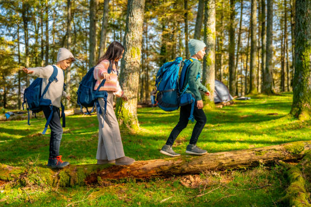 istock Brothers and sister walking over tree trunk trekking at forest 2185349907