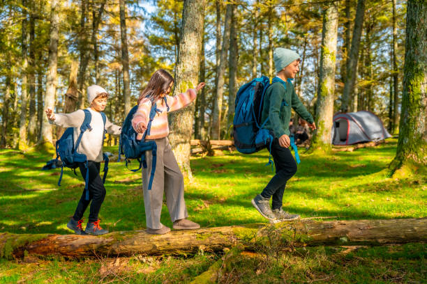 istock Brothers walking playfully on a tree trunk in the forest 2185349909