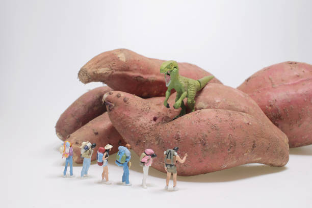 istock dragon Invasion,  the mini travellers or backpackers on sweet potato 2185352176