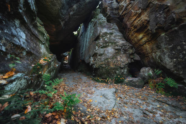 istock A narrow path winds through towering rock formations, blanketed with fallen leaves and vibrant ferns, showcasing the serene beauty of nature in the autumn season 2185355470