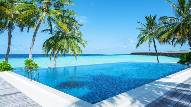 istock Infinity pool with sea view on tropical Island resort 2185358158