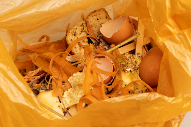 istock Bio organic trash sorted in yellow plastic bag. 2185364392
