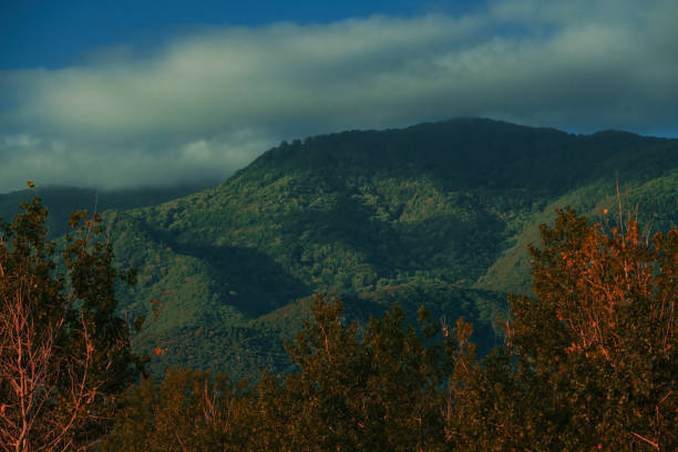 Lush green mountain hills over Stavros in Greece, selective focus
