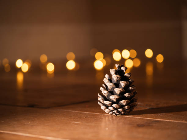 istock Pine cones in front of Christmas lights bokeh 2185366653
