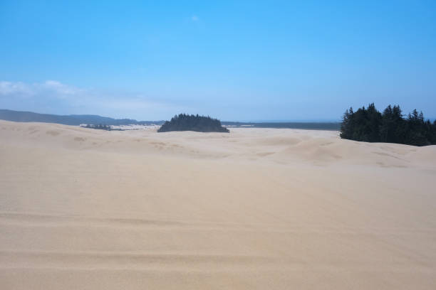 Sand Dunes in Florence, Oregon, ISA