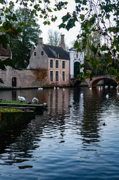 istock Channels of Bruges with swans 2185373182