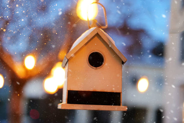Winter Christmas atmosphere wallpaper.Birdhouse and bulbs with warm yellow light and highlights on tree on blue sky background.Winter holiday wallpaper with snow and shining lights.sparkling background