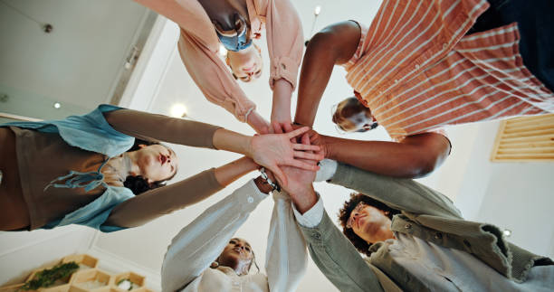 istock College, students and stack of hands for education, academic project and support for studying as team. Campus, people and friends with huddle for exam success, solidarity and celebration by low angle 2185379351
