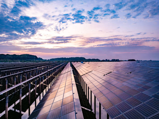istock Solar photovoltaic panels array aerial photography at sunset 2185381996
