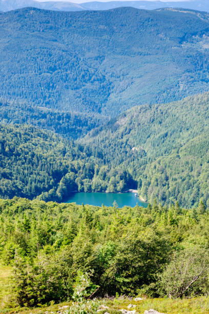 istock Ballon Lake in Alsace 2185382346