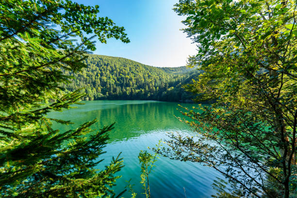 istock Ballon Lake in Alsace 2185384048