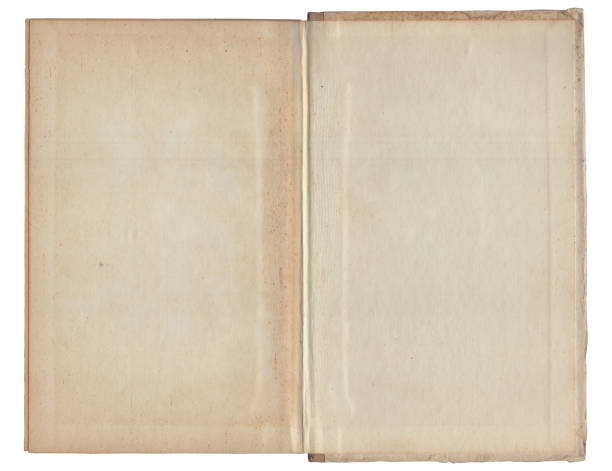 istock Vintage empty background of old book paper texture isolated 2185385399