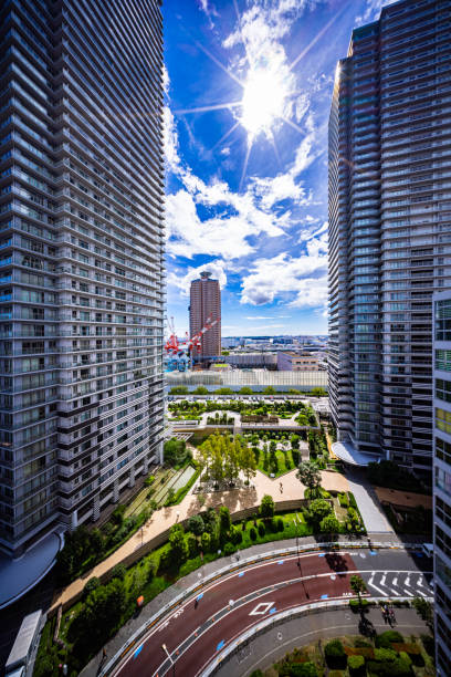 A vibrant view of a cityscape framed by modern skyscrapers, with lush greenery and a curved road in the foreground under a sunny sky