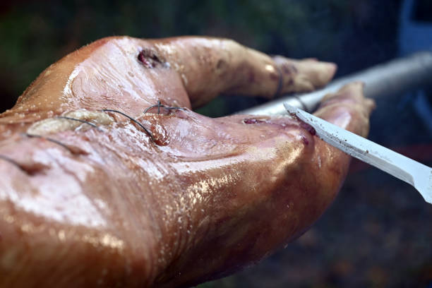 Close-up of traditional whole pig roast on outdoor spit with knife