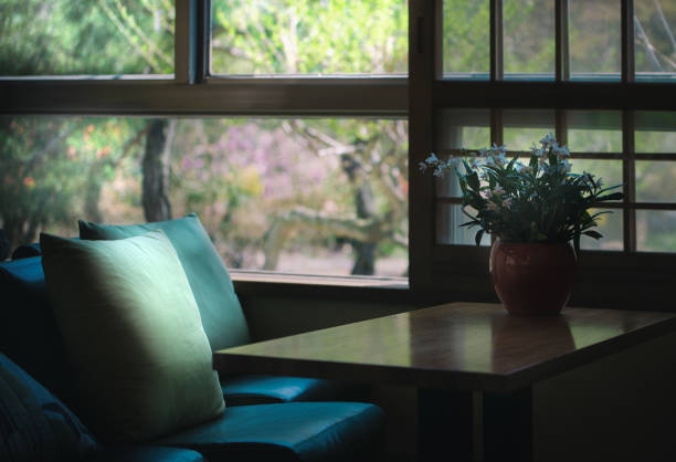 Cozy Vintage Interiors with Artistic Decor and Warm Ambiance
