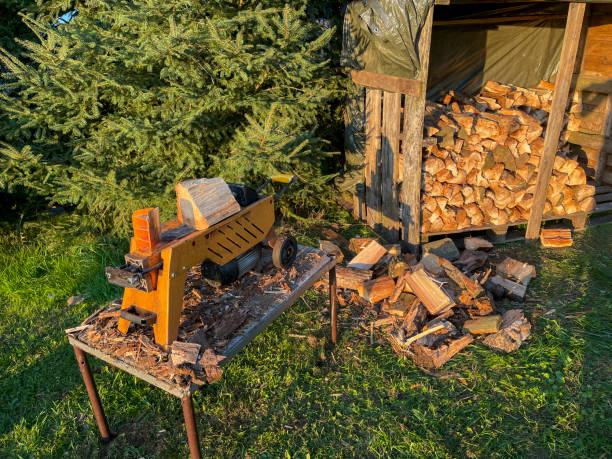 istock Split wood for the fireplace with a log splitter for the winter 2185392767