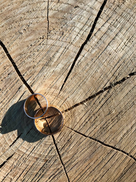 Wedding rings on a rustic wood background with natural texture