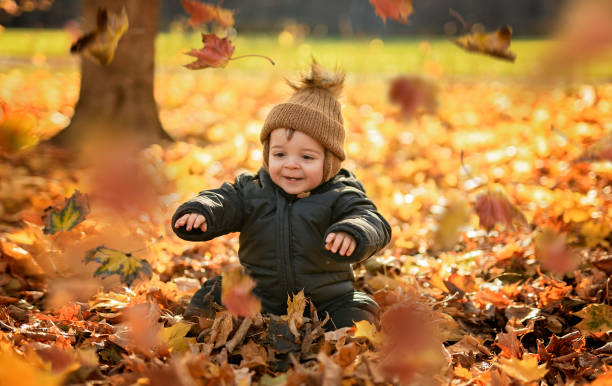 istock baby boy having fun on Autumn Forest 2185396605