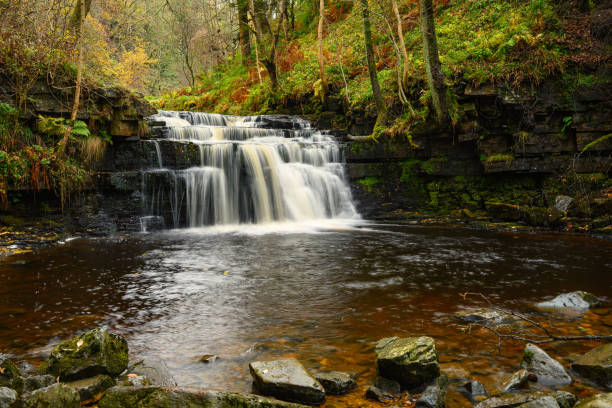 istock Waterfall in Ash Gill Beck below Ashgill Force 2185400631