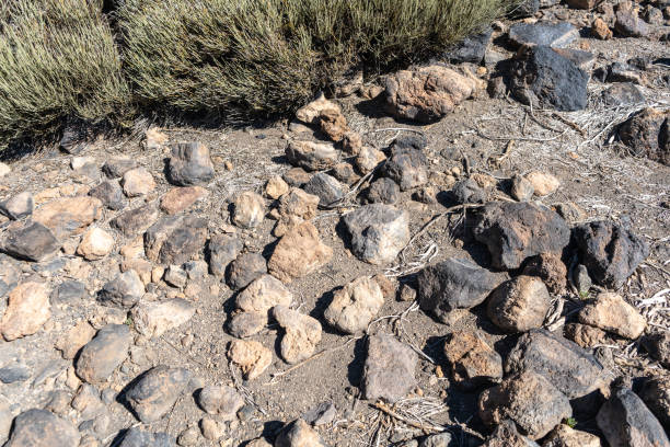 Lava Fields, Pumice Volcano Stones Texture, Volcanic Pumice Pattern, Pieces of Lava, Teide Basalt Extrusive Igneous Rock, Color Porous Volcano Stones in Spain, Tenerife, Peak of Teide