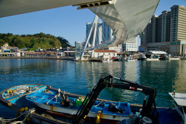 Sokcho, South Korea - November 3, 2024: A view from beneath the Daepo Skywalk, highlighting docked fishing boats and the bustling Daepo Port waterfront with modern hotels in the background.