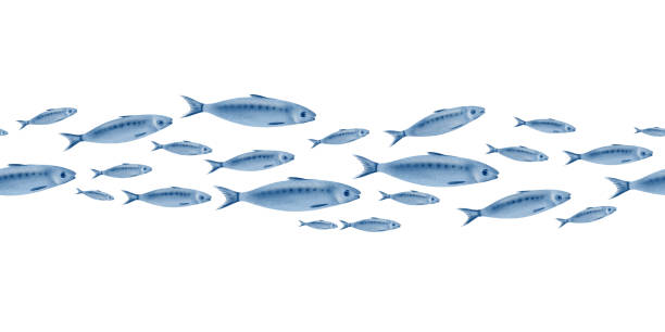istock Sardine fish in seamless horizontal border swimming in a shoal stylized watercolor illustration on a transparent background for fish restaurants, websites, posters, fish markets and stores 2185409320