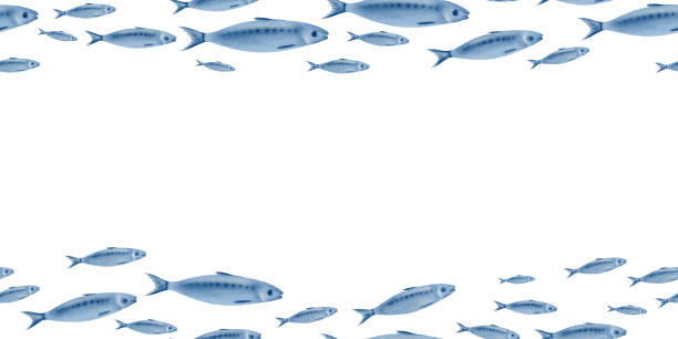 istock Sardine fish in seamless horizontal double border swimming in a shoal stylized watercolor illustration on a transparent background for fish restaurants, websites, posters, fish markets and stores 2185409392