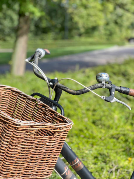 istock closeup handle and basket of bicycle in the park 2185410166