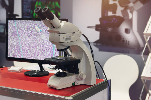 istock Modern microscope and slide section of human tissue with computer monitor 2185411218