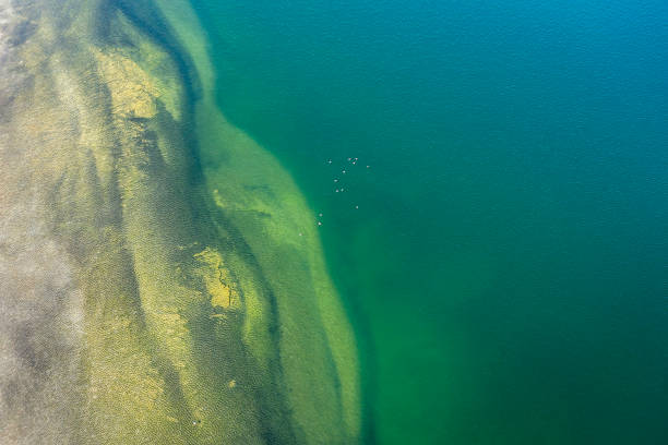 istock Abstract sandy shore and rippling water 2185412478
