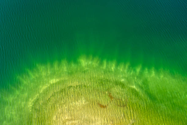 Aerial view of a sandy shore and abstract patterns of rippling, green water.