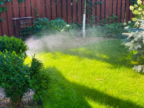 istock water sprinkler in the garden 2185413237