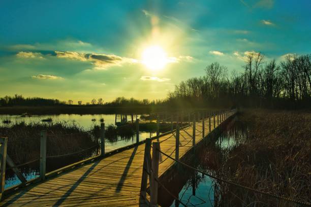 Sun Above Boardwalk at Horicon Marsh