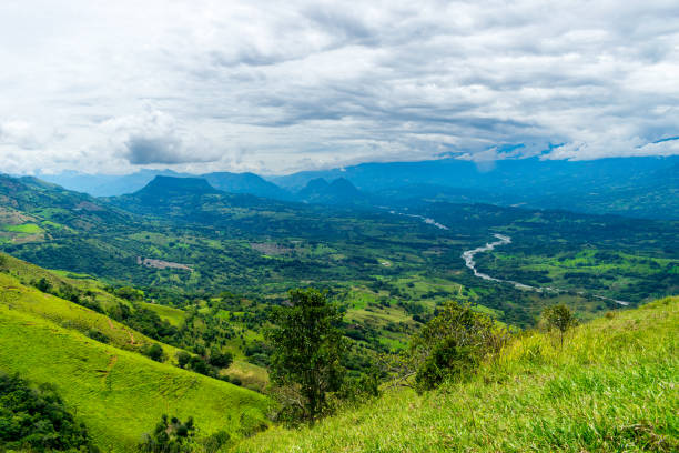 Scenic view of river surrounded by rainforest  in Banos, Ecuador